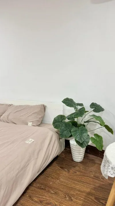 Bom's House – Fotos 6